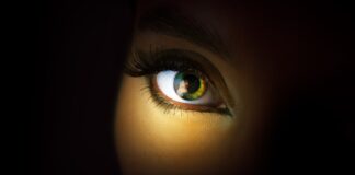 Festivalului Internațional Transilvania Fashion 2024 Transilvania Fashion 2024 Cluj