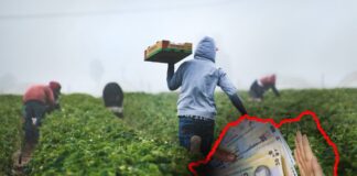 Creditul fermierului a fost prelungit