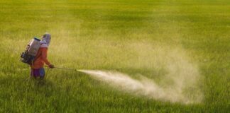 Certificat obligatoriu pentru folosirea pesticidelor
