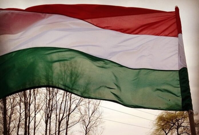 steag-ungar