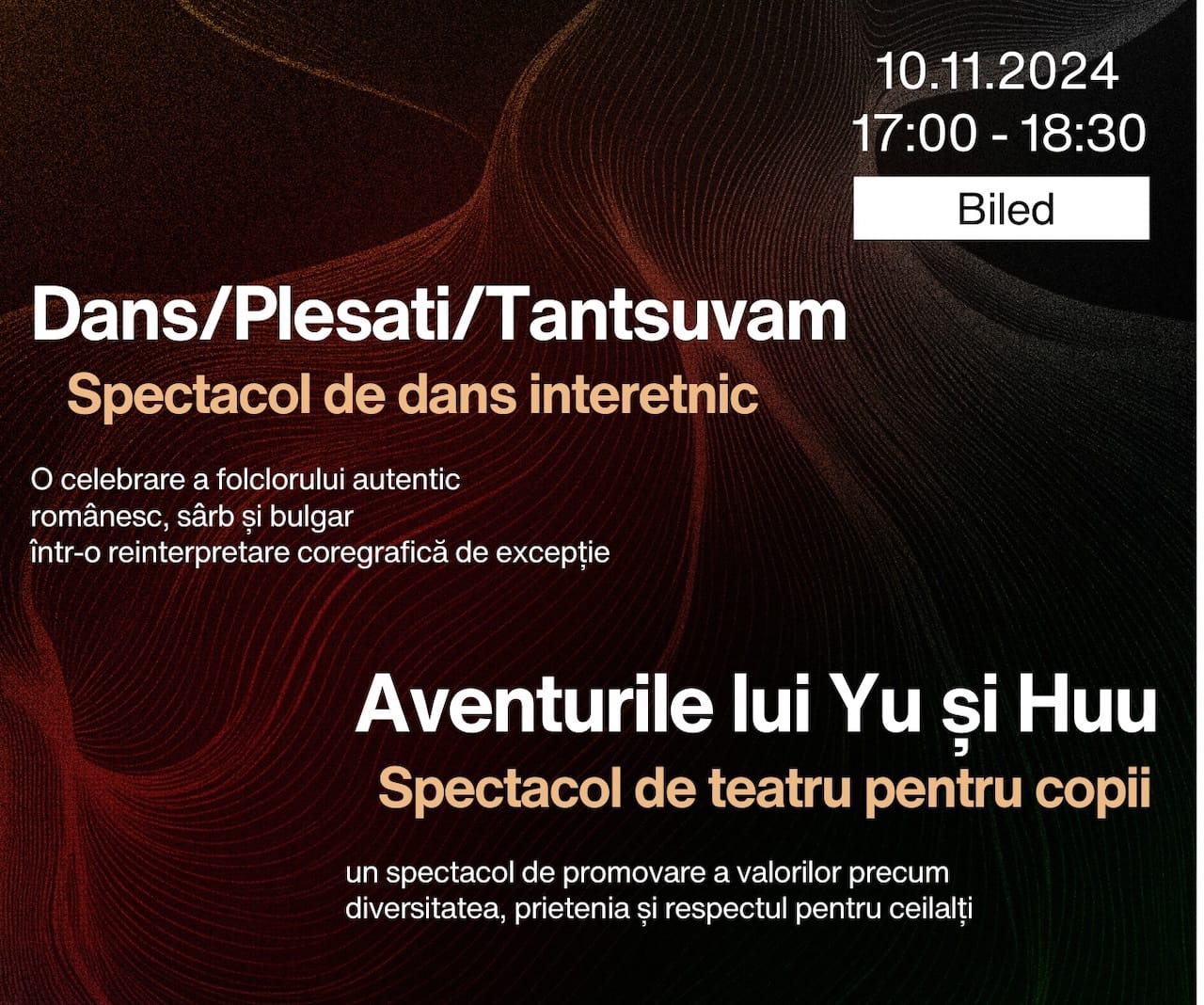, La Biled se celebrează diversitatea culturală | Spectacol de dans interetnic și teatru pentru copii, TransilvaniaTV.ro