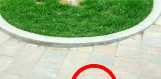 Trist! Zeci de dale din pavajul noii pietonale din Zalău sunt tot sparte. De ce nu sunt înlocuite?