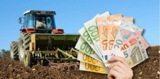 Au fost virați banii către beneficiarii de ANT