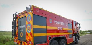 Pui de pisică, salvat dintr-o fântână adâncă