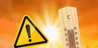 Cod portocaliu de caniculă în Sălaj