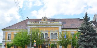 Începe revolta angajaților și primarilor împotriva austerității. La Zalău e liniște