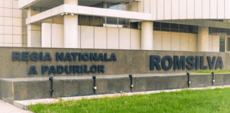 Ministrul Mediului vrea să restructureze Romsilva, dar la gramatică nu se prea știe