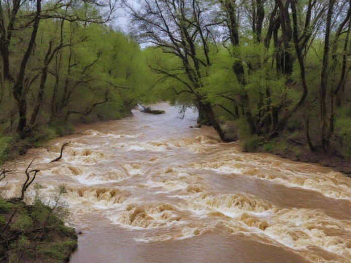 inundatie