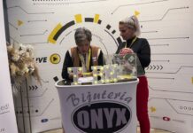 , Stiri si Emisiuni din toata Transilvania, TransilvaniaTV.ro