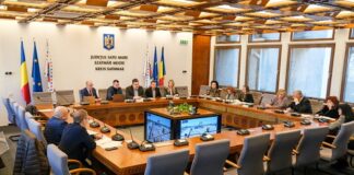 Consiliul Economic Consultativ Satu Mare: Planuri ambițioase pentru aeroport și o posibilă zonă liberă vamală