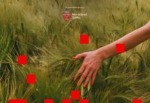 , Stiri si Emisiuni din toata Transilvania, TransilvaniaTV.ro Festival Muzica Now Zalau 2026