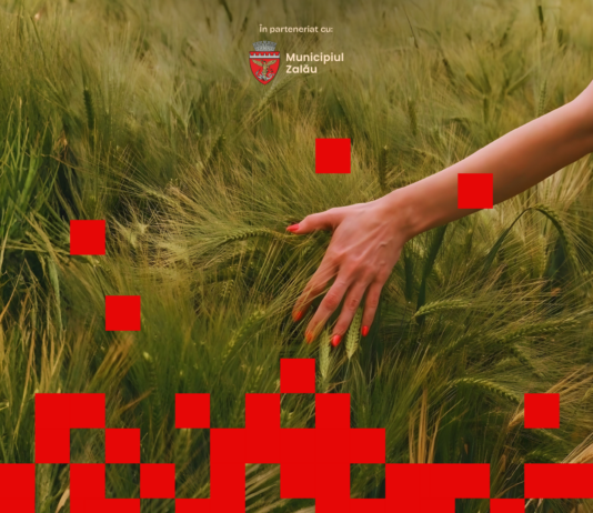 NO:W, la Zalău Festival Muzica Now Zalau 2026