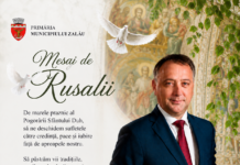 , Stiri si Emisiuni din toata Transilvania, TransilvaniaTV.ro