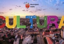 ANUNŢ DE SELECŢIE OFERTE CULTURALE