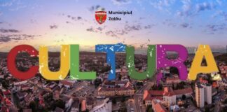 ANUNŢ DE SELECŢIE OFERTE CULTURALE